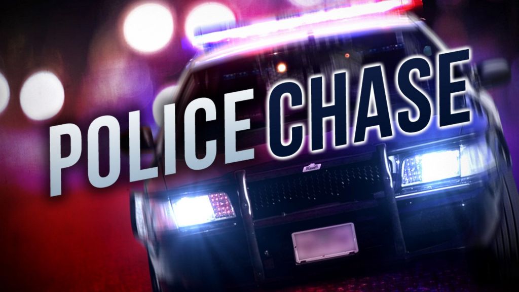 Boynton Beach police smash vehicle window, rescue dog from hot auto
