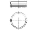 Pistão do kit para 1 cilindro, STD WG1104618 Wilmink Group
