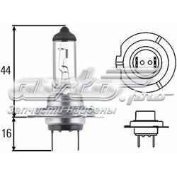 8GH007157481 HELLA lâmpada halógena