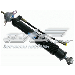 Амортизатори задні 102309 SACHS