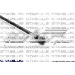 Amortecedor de tampa de porta-malas (de 3ª/5ª porta traseira) Peugeot 207 WA, WC