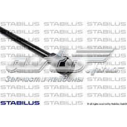 Amortecedor de tampa de porta-malas (de 3ª/5ª porta traseira) Toyota Corolla E11