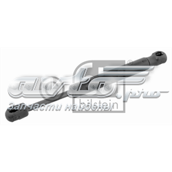 Amortiguador Para Porton Trasero (3/5 Puertas Traseras (Lisas) 29268 FEBI