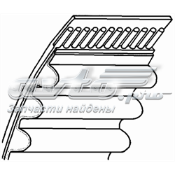 Ремень ТНВД 1856301 Lemforder