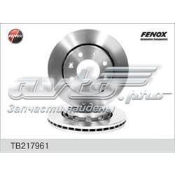 Передние тормозные диски TB217961 Fenox