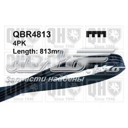 Ремень генератора QBR4813 QUINTON HAZELL