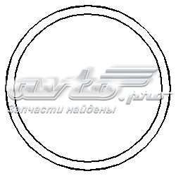 202288015 Hans Pries (Topran) Прокладка водяного насоса