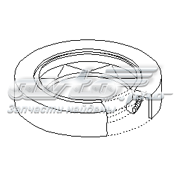 Сальник редуктора заднего моста 200761885 Hans Pries (Topran)