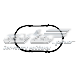 Vedante de tubo coletor de admissão Renault Espace 4 JK0