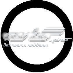 Прокладка коллектора впуск Peugeot/Citroen 034843