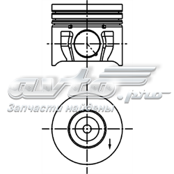 Поршень на 1 цилиндр 40174600 Kolbenschmidt