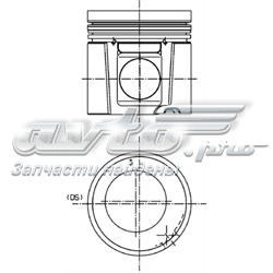 Pistão do kit para 1 cilindro, STD 41504960 Kolbenschmidt