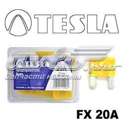 Запобіжники (електричних ланцюгів) FX20A10 TESLA