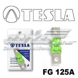 FG125A Tesla dispositivo de segurança