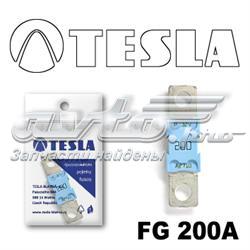  FG200A Tesla