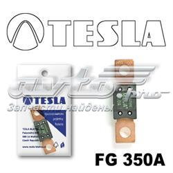  FG350A Tesla