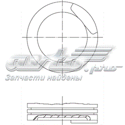 Поршень на 1 цилиндр PN53040 Autowelt