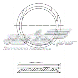 Поршень на 1 цилиндр PN50150 Autowelt