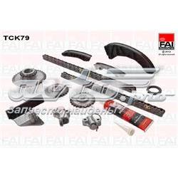 TCK79 FAI Комплект цепи