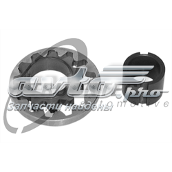 Kit de reparación, bomba de aceite 0218017 TRUCKTEC