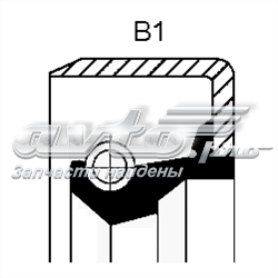 Сальник ПНВТ 01002391B CORTECO