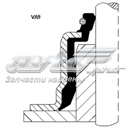 Сальник клапана (Маслос'емниє), впуск/випуск 19036815 CORTECO