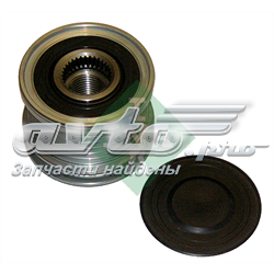 Polea de alternador 535003610 INA