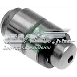 Taqués de motor 420020010 INA