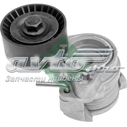 Tensor de la correa trapecial 534004910 INA