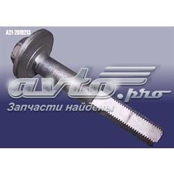 A212919213 Chery Болт заднего продольного рычага (развальный)