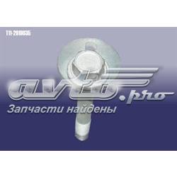 T112919035 Chery Болт крепления заднего развального рычага, внутренний