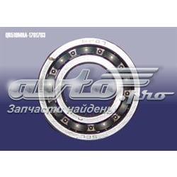 QR519MHA1701703 Chery 
