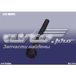  473F1002024 Chery