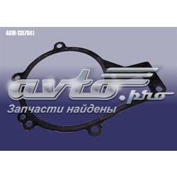 481H1307041 Chery Прокладка водяного насоса