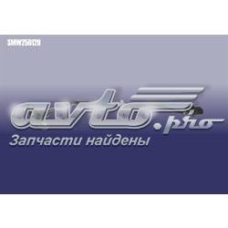 SMW250129 Chery ДПКВ