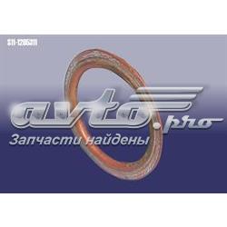 AS111205311 Chery Прокладка штанов