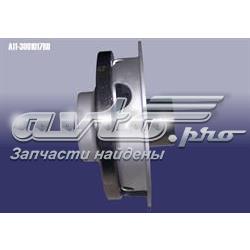 A113001017BB Chery Ступица колеса передняя
