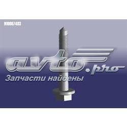 Болт крепления переднего рычага Chery N10087403