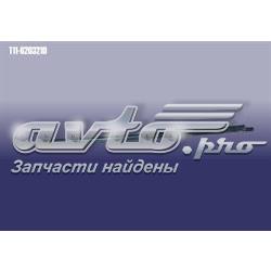 T116203210 Chery Уплотнитель стекла двери задней левой внешний (планка)