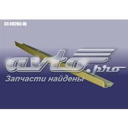 S116102951DQ Chery 