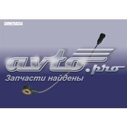 SMW250314 Chery Датчик самовоспламенения