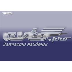 T116103220 Chery Уплотнитель стекла двери передней правой внешний (планка)