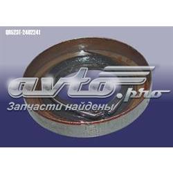 QR523T2402241 Chery 
