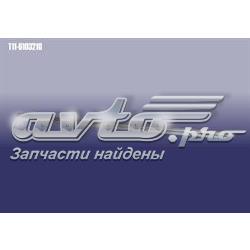 T116103210 Chery Уплотнитель стекла двери передней левой внешний