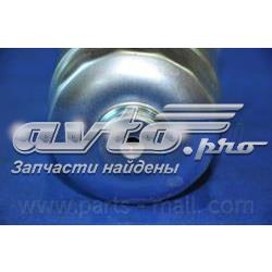 Filtro de combustível Jaguar X-type CF1