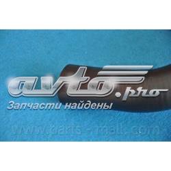 Нижний шлаг радиатора охлаждения EX36613 Euroex