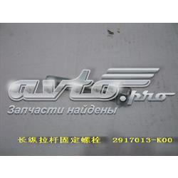 Купить 2917013K00 Great Wall 