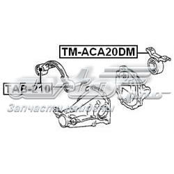 Сайлентблок (подушка) редуктора заднего моста задний TMACA20DM Febest