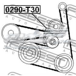0290T30 Febest Натяжитель клинового ремня