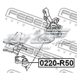 Нижняя шаровая опора 0220R50 Febest